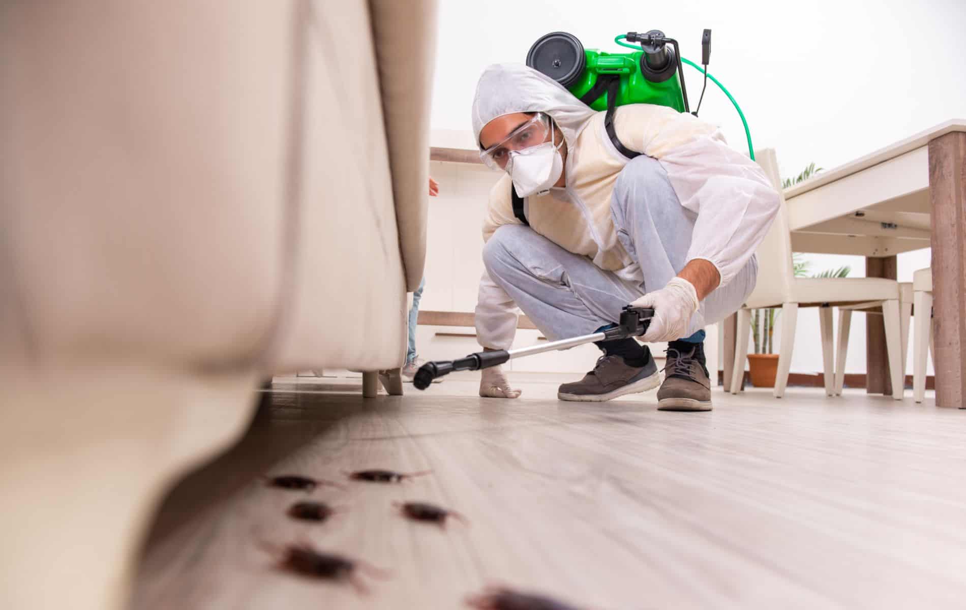 Pest Control Services